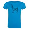 AWDis Ladies Cool T-Shirt Thumbnail