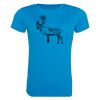 AWDis Ladies Cool T-Shirt Thumbnail