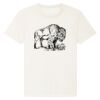 RE-Creator organic cotton t-shirt (STTU787) Thumbnail