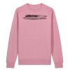 Unisex Changer 2.0 iconic crew neck sweatshirt (STSU178) Thumbnail