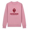 Unisex Changer 2.0 iconic crew neck sweatshirt (STSU178) Thumbnail